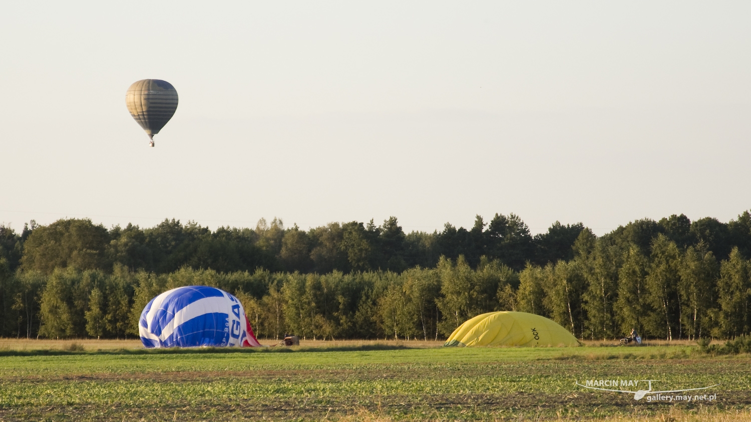 Leszno_Balloon_Cup_2016-DSC_9216-032