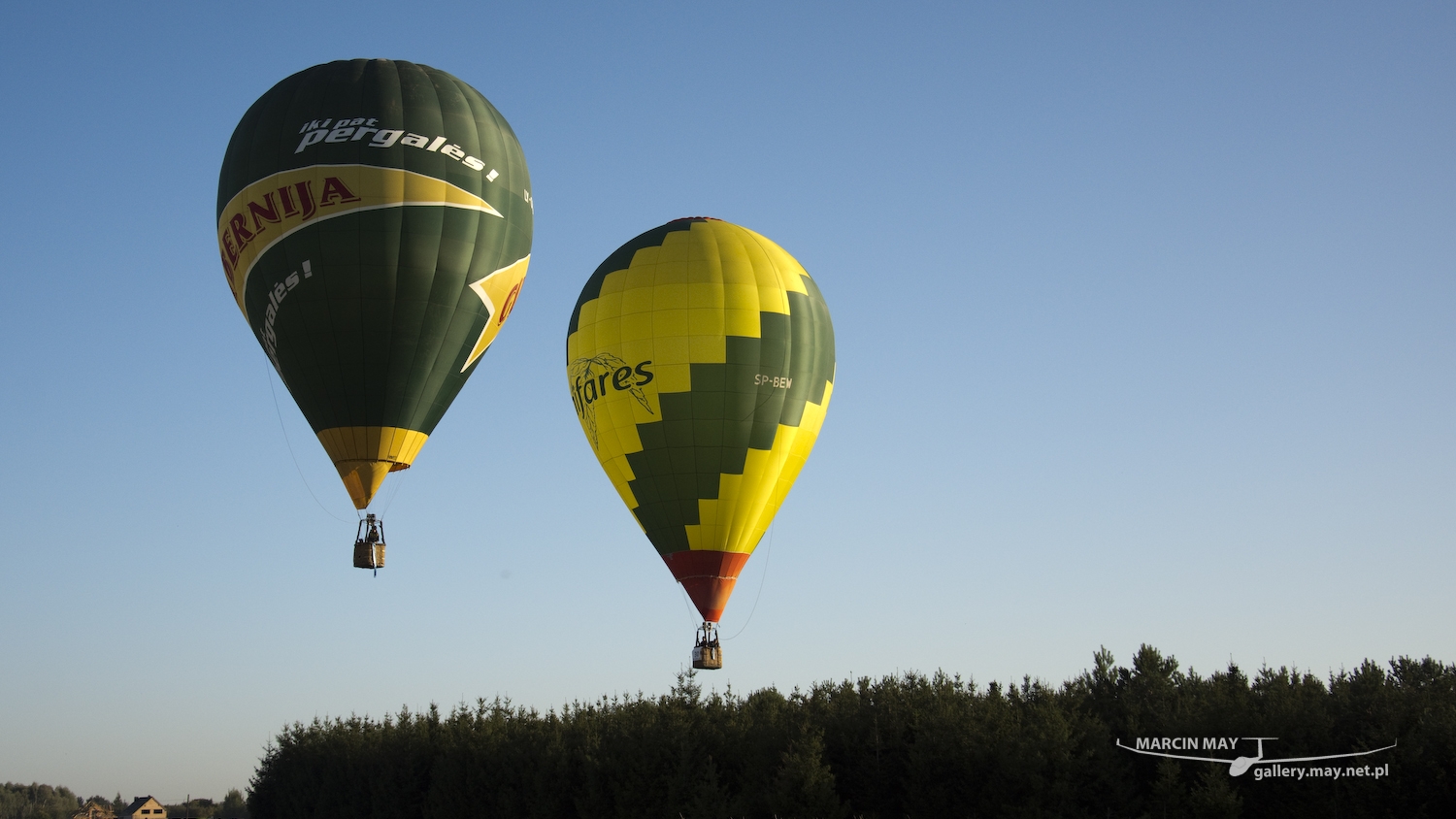 Leszno_Balloon_Cup_2016-DSC_9541-069