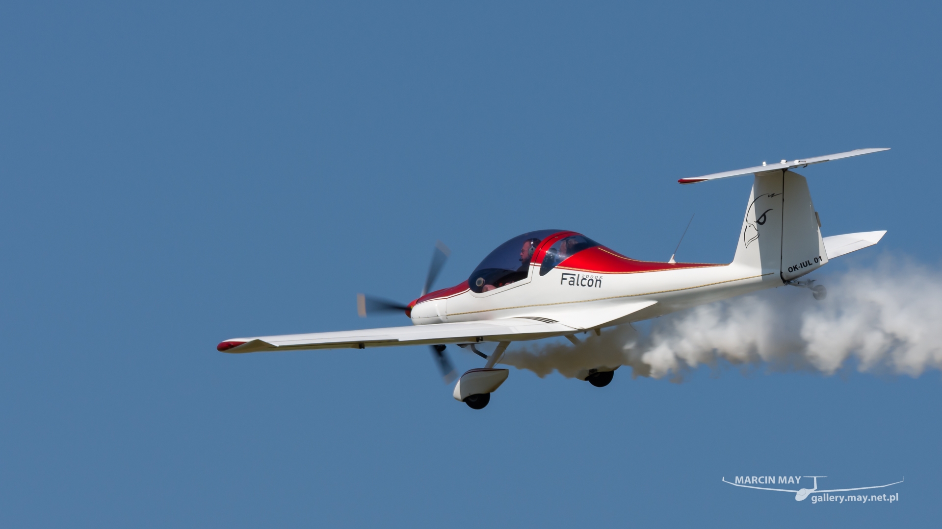 Antidotum_Airshow_2021-zdj052-DSC_6643