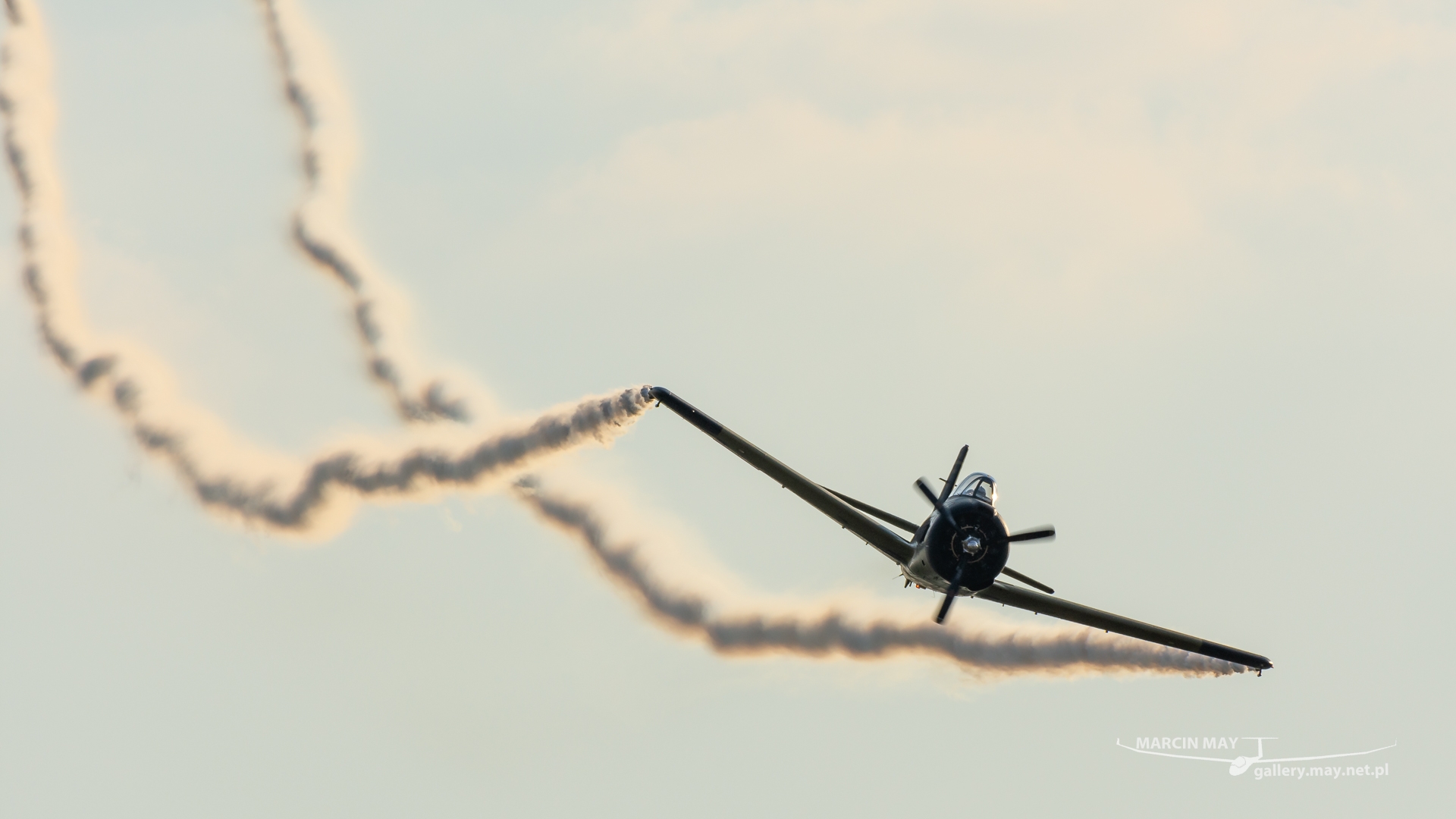 Antidotum_Airshow_2021-zdj106-DSC_9482