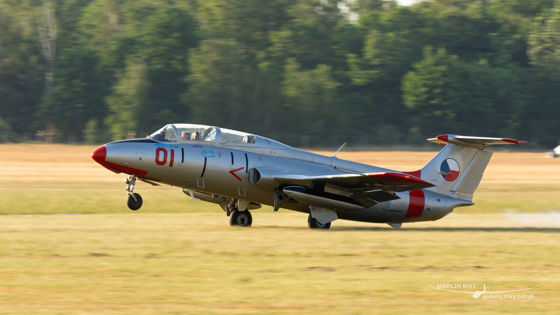 Antidotum_Airshow_2021-zdj110-DSC_9588