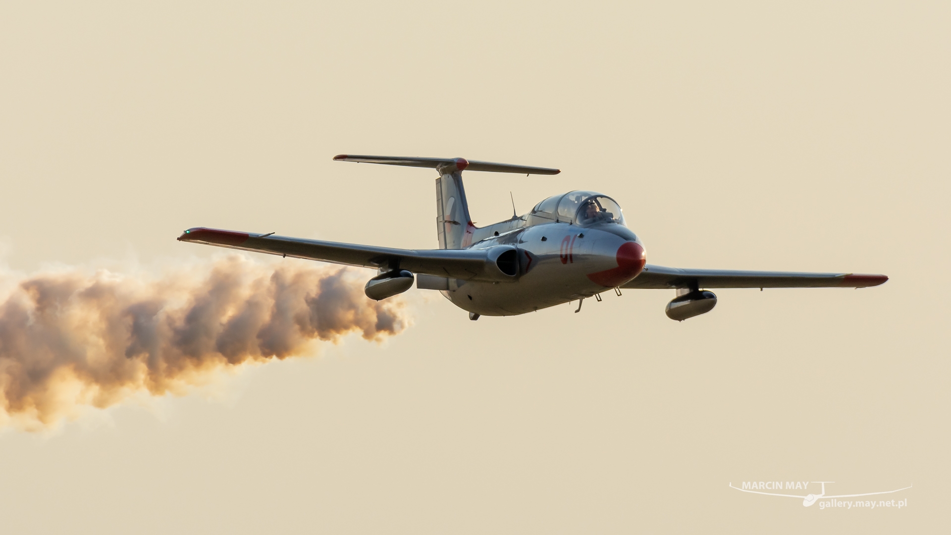 Antidotum_Airshow_2021-zdj111-DSC_9694