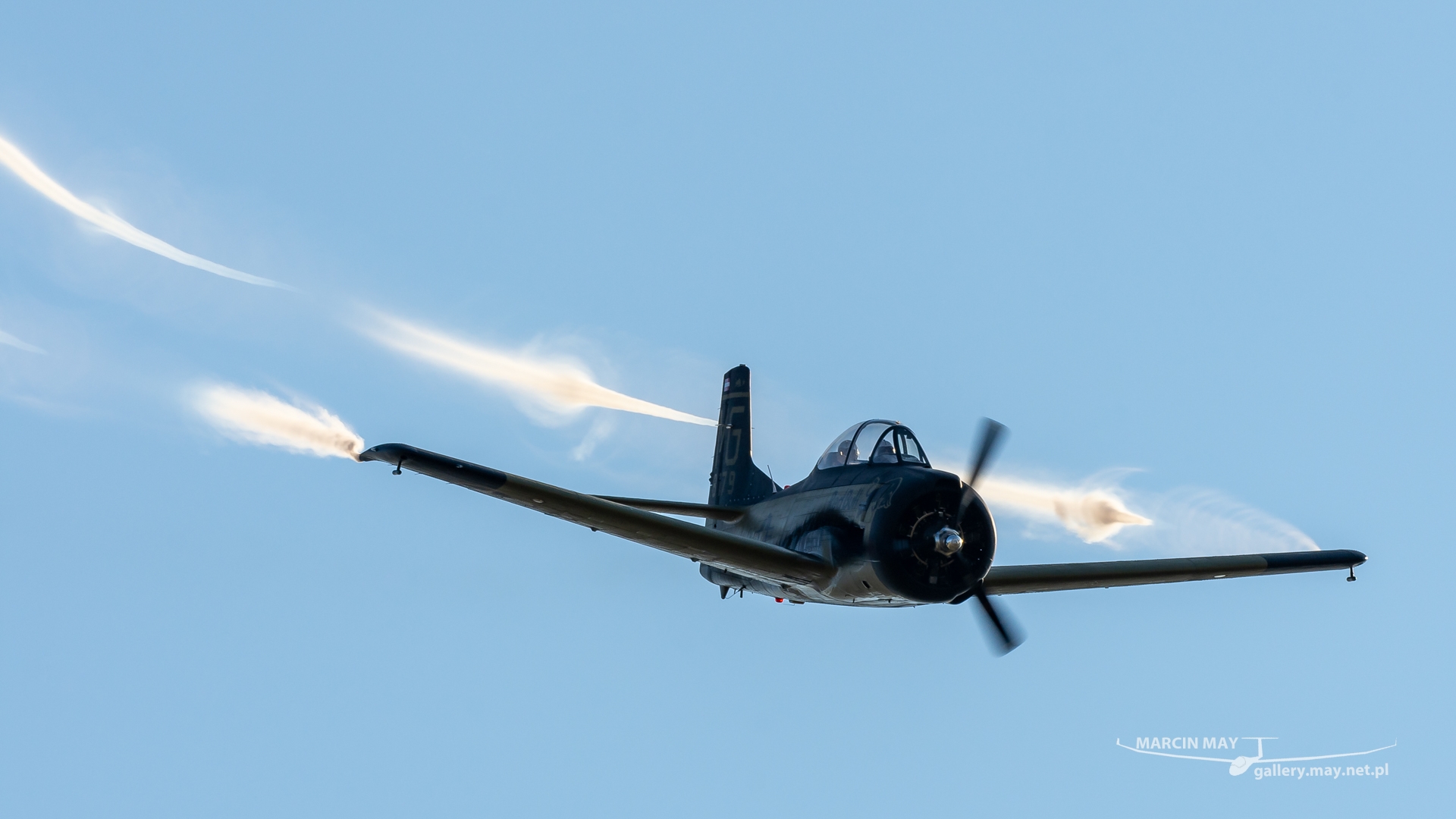 Antidotum_Airshow_2021-zdj146-DSC_4195