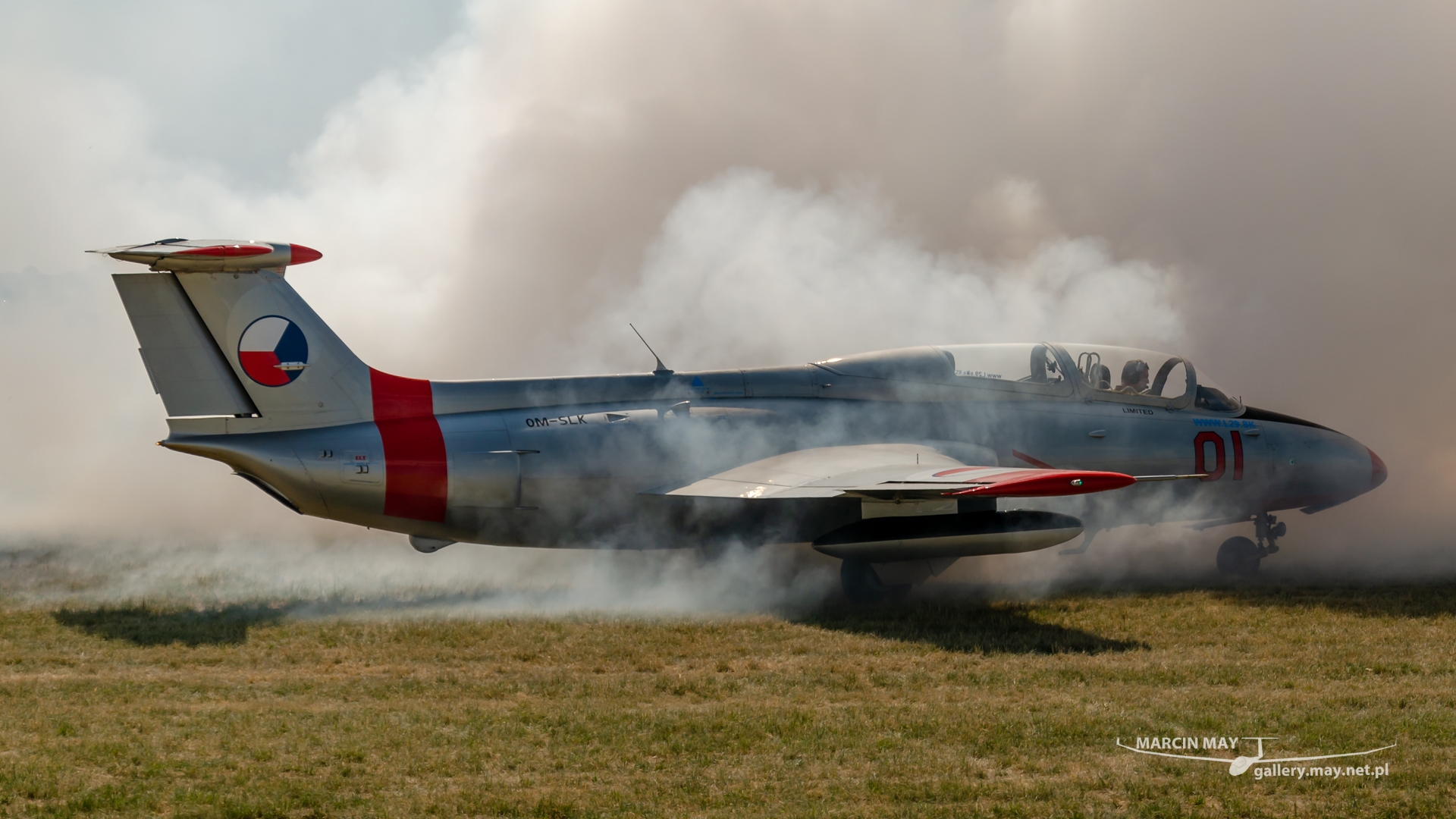 Antidotum_Airshow_2021-zdj271-DSC_9374