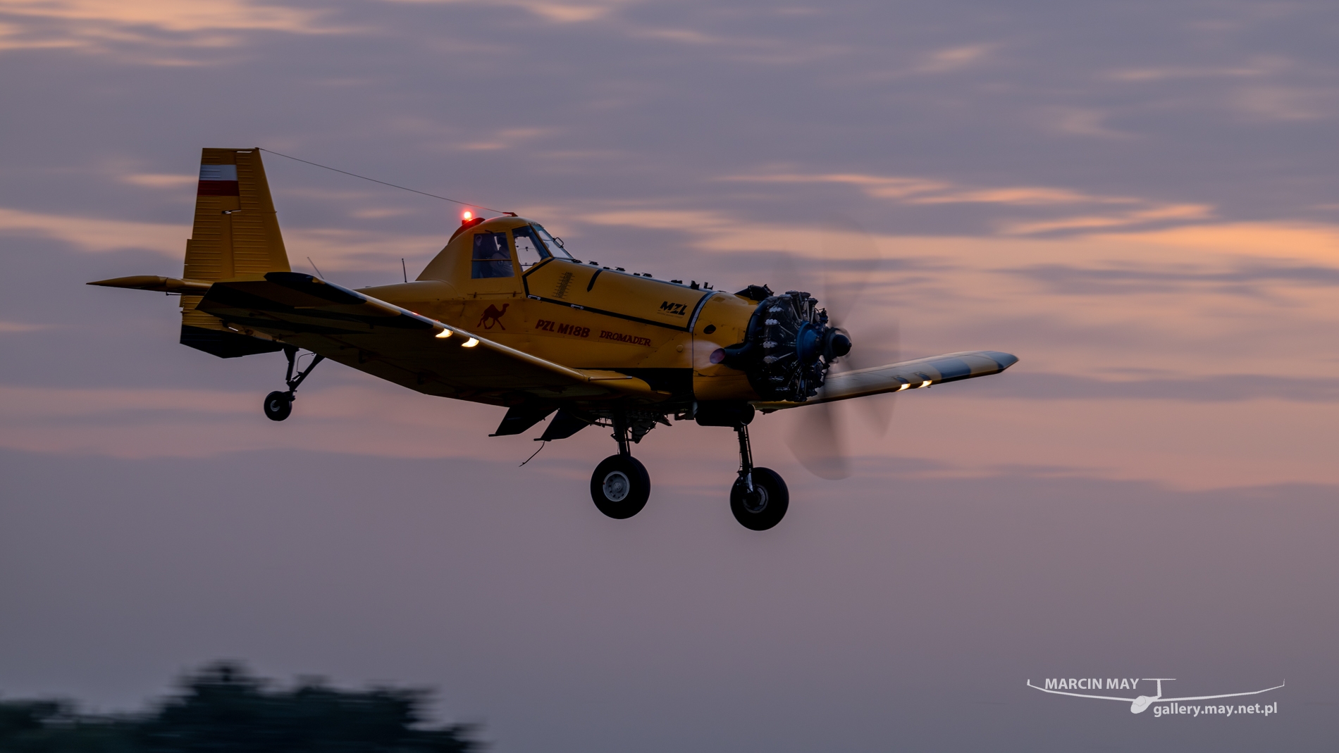 Antidotum_Airshow_2024-zdj039-DSC_4320