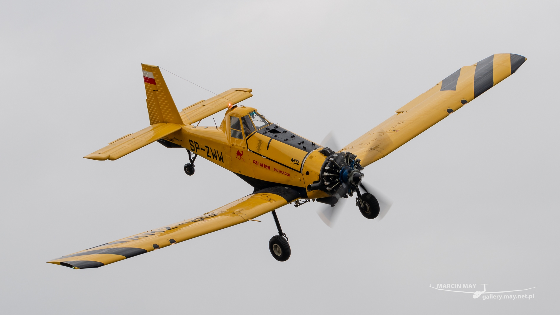 Antidotum_Airshow_2024-zdj066-DSC_5967