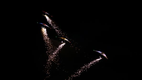 Leszczynska_Noc_Balonowa_2024-zdj088-DSC_8233