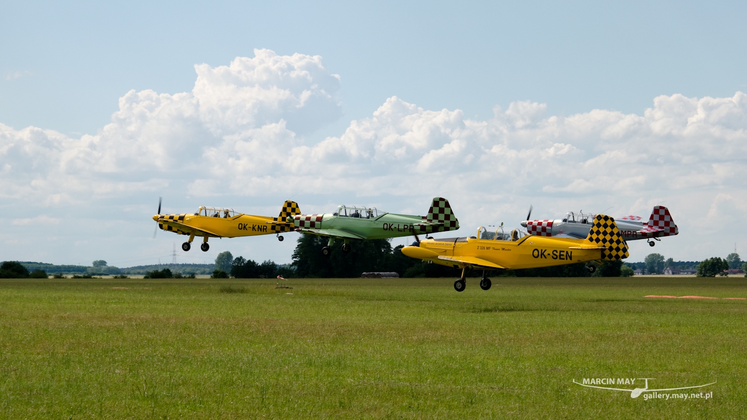 piknik-leszno-2016_zdj-039-DSC_1538