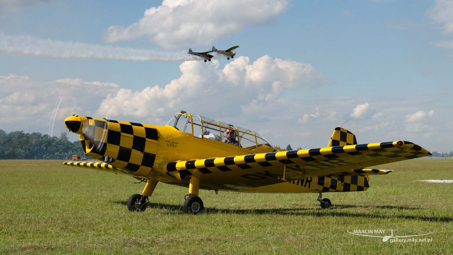 piknik-leszno-2016_zdj-041-DSC_1565