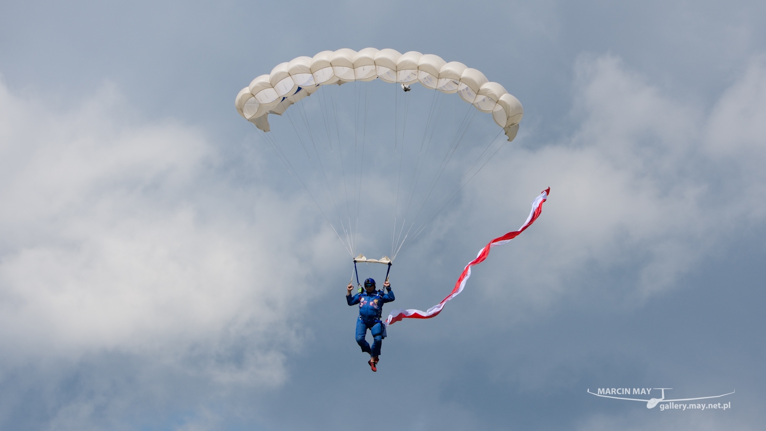 piknik-leszno-2016_zdj-071-DSC_1540