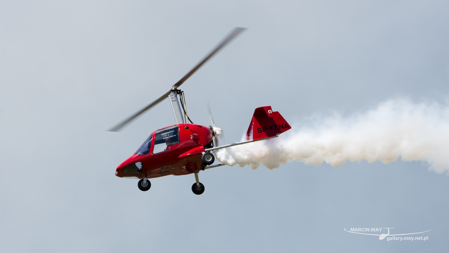 piknik-leszno-2016_zdj-078-DSC_1616