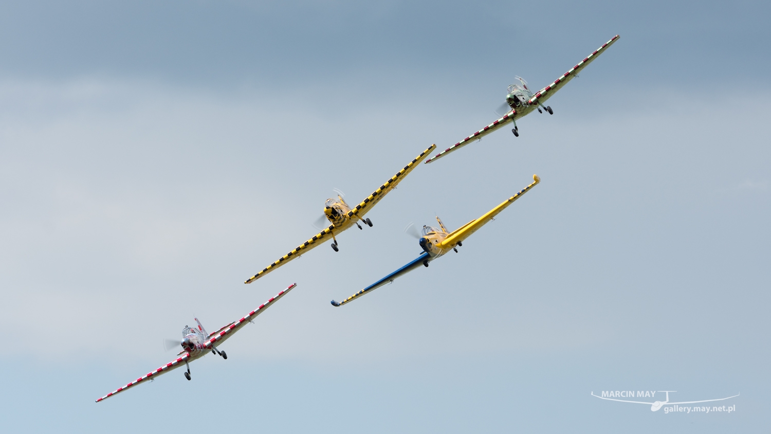 piknik-leszno-2016_zdj-144-DSC_2616