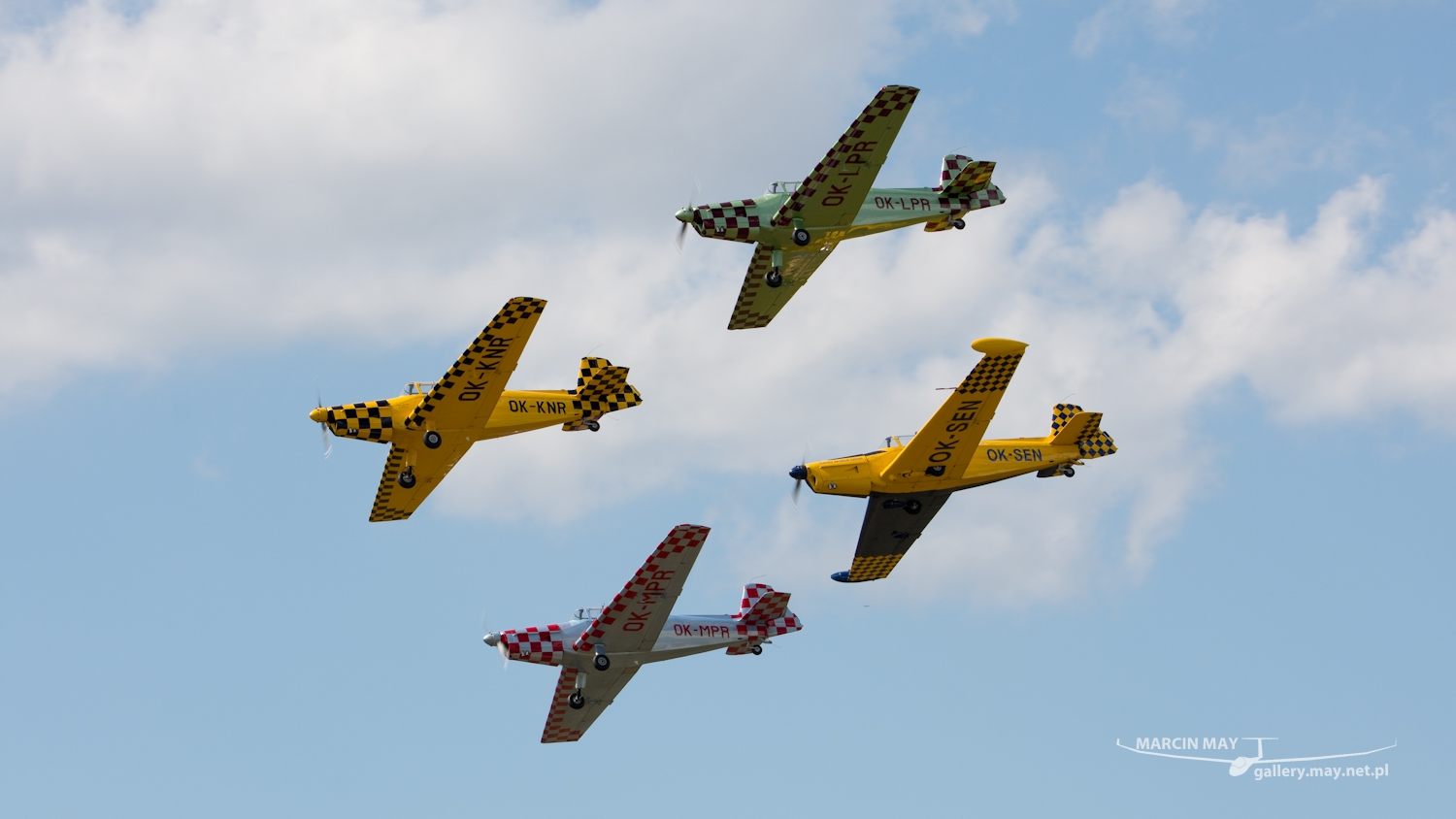 piknik-leszno-2016_zdj-145-DSC_2619