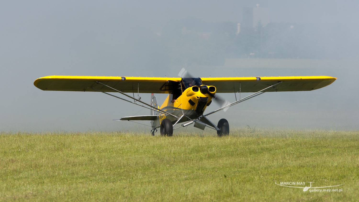 piknik-leszno-2016_zdj-155-DSC_2706