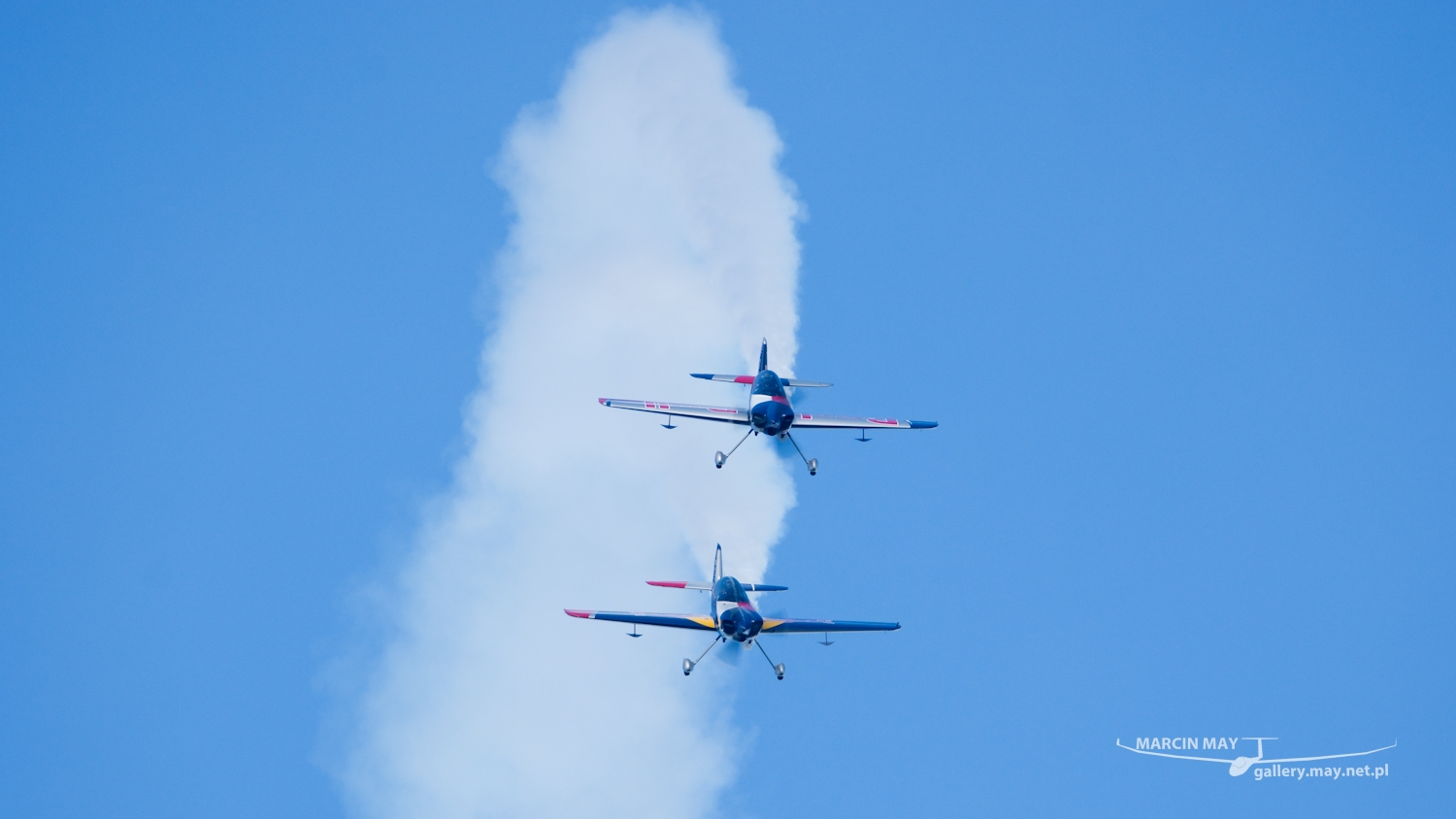piknik-leszno-2016_zdj-246-DSC_4128