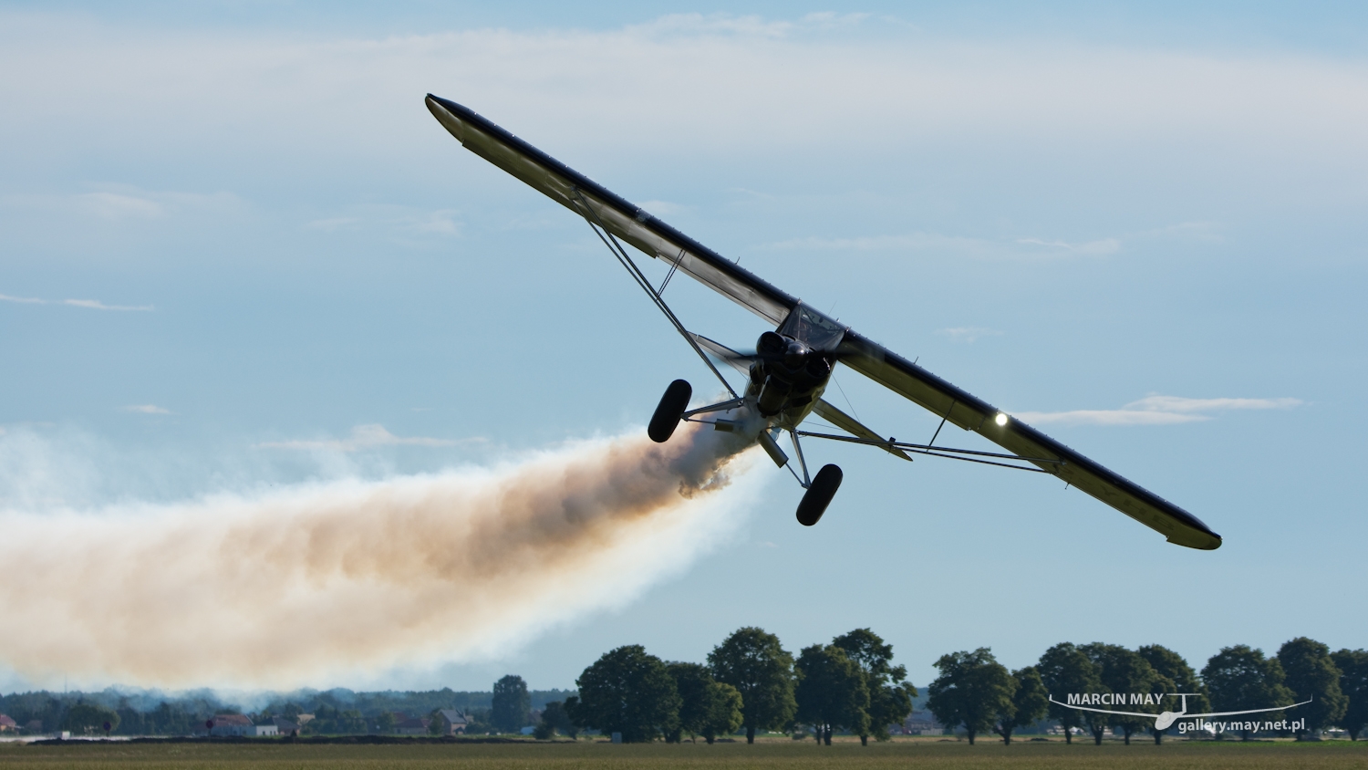 piknik-leszno-2016_zdj-264-DSC_4451