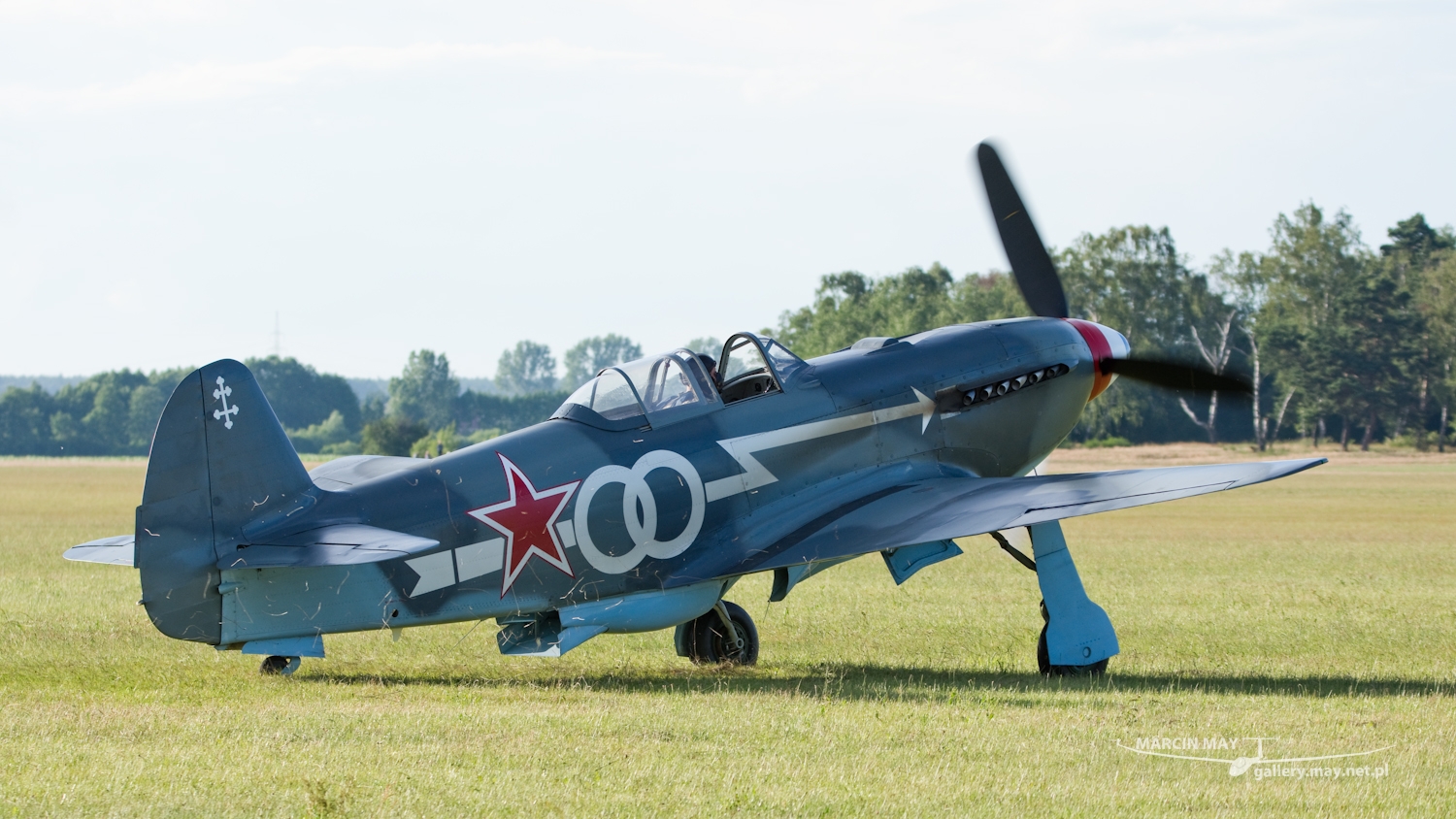 piknik-leszno-2016_zdj-266-DSC_4459