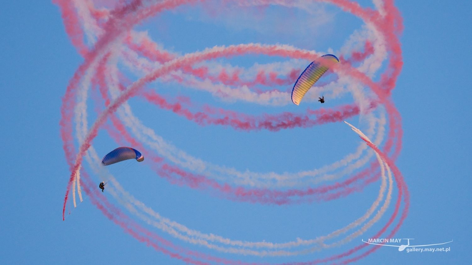 piknik-leszno-2016_zdj-283-DSC_4786