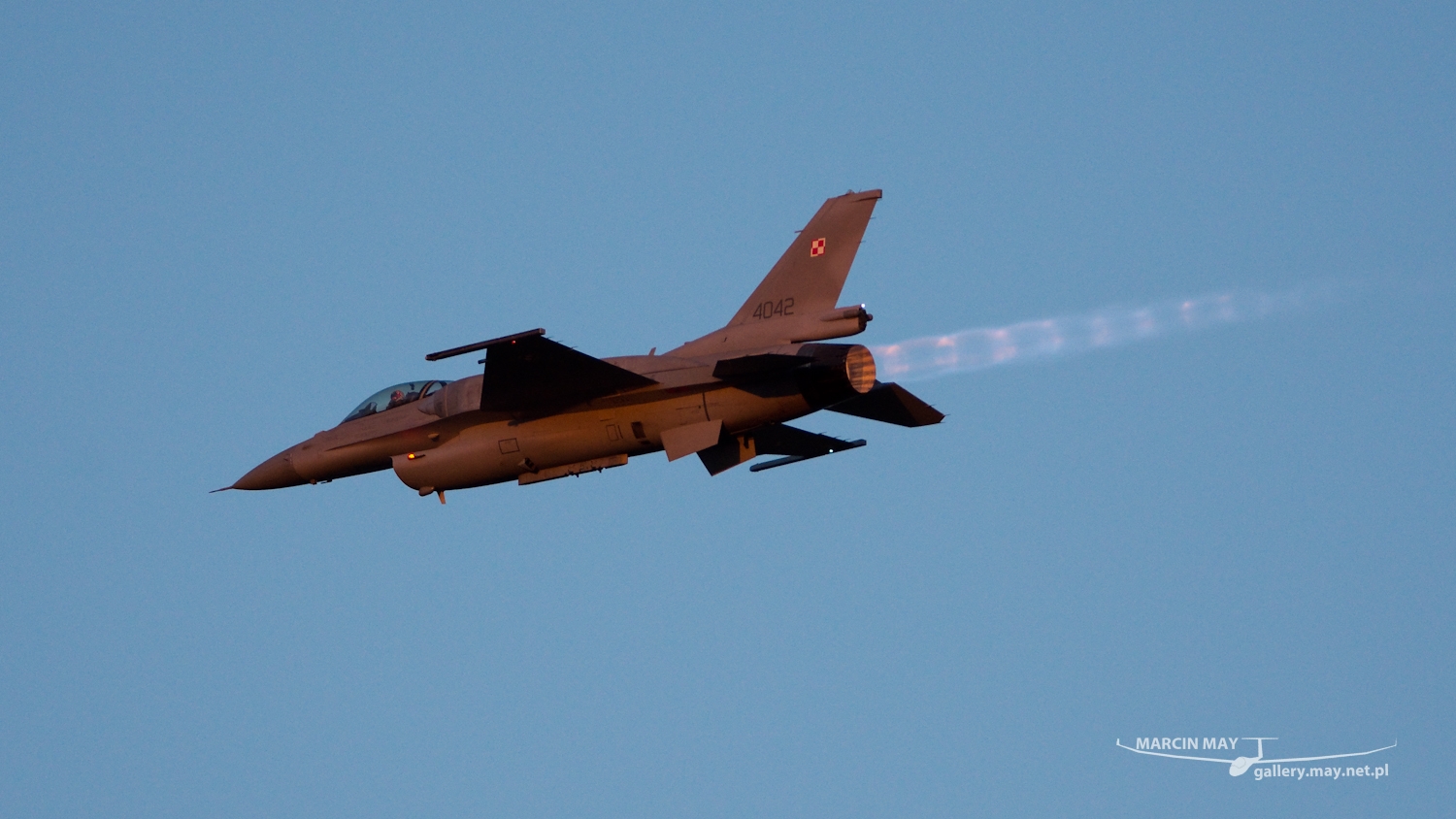 piknik-leszno-2016_zdj-288-DSC_4860