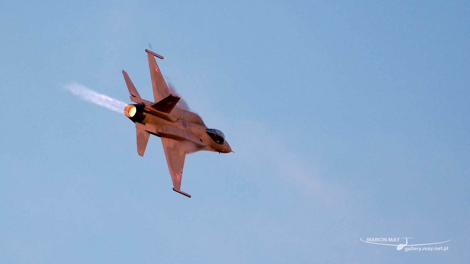 piknik-leszno-2016_zdj-291-DSC_4907