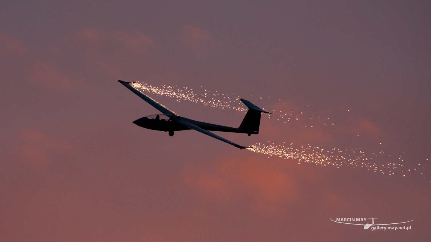 piknik-leszno-2016_zdj-320-DSC_5446