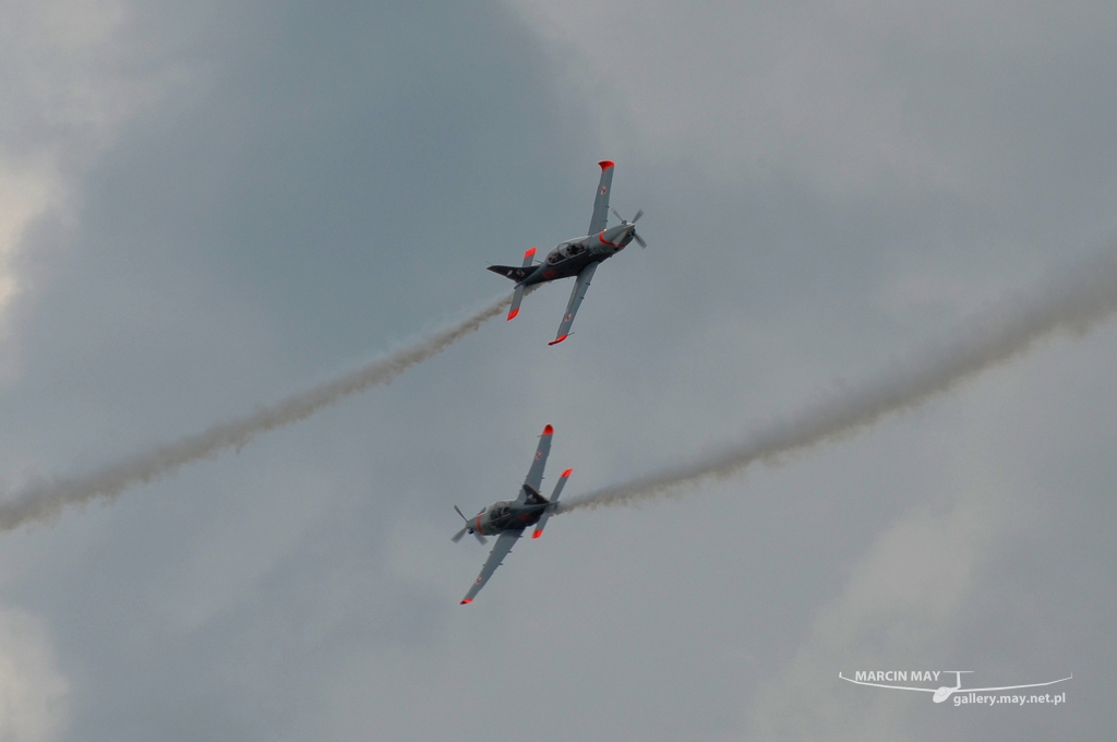 PiknikLeszno2013-zdj096-DSC_7594