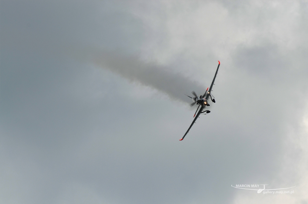 PiknikLeszno2013-zdj097-DSC_7657