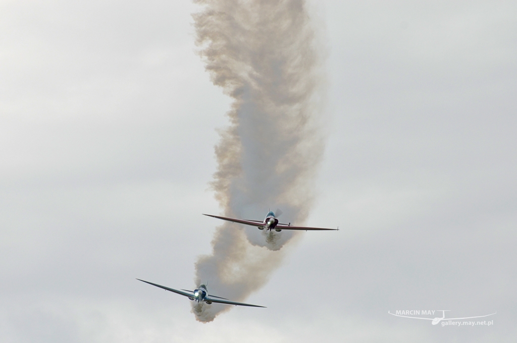 PiknikLeszno2013-zdj105-DSC_8545