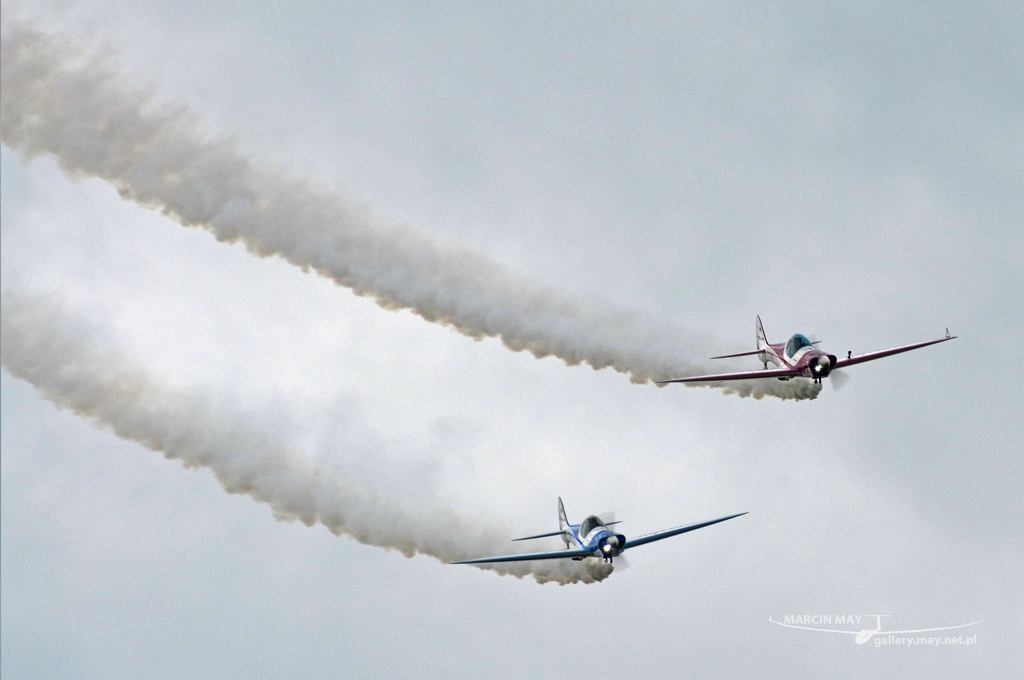 PiknikLeszno2013-zdj109-DSC_8685