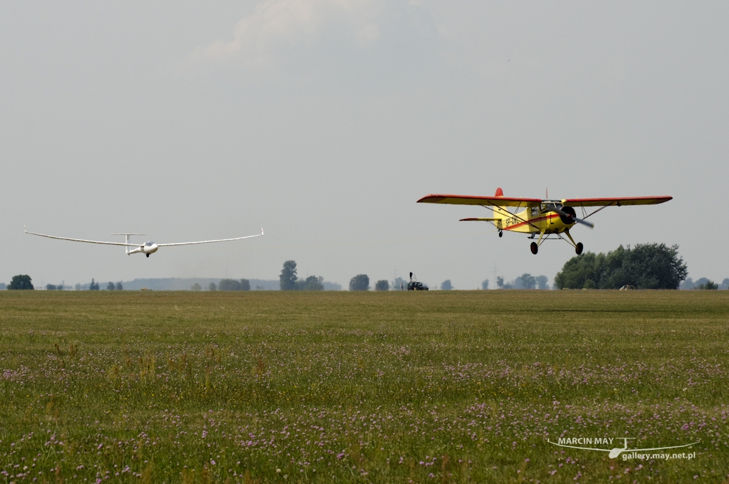 WGC2014-28-07-2014-zdj033-DSC_2350 WGC2014-28-07-2014-zdj033-DSC_2350