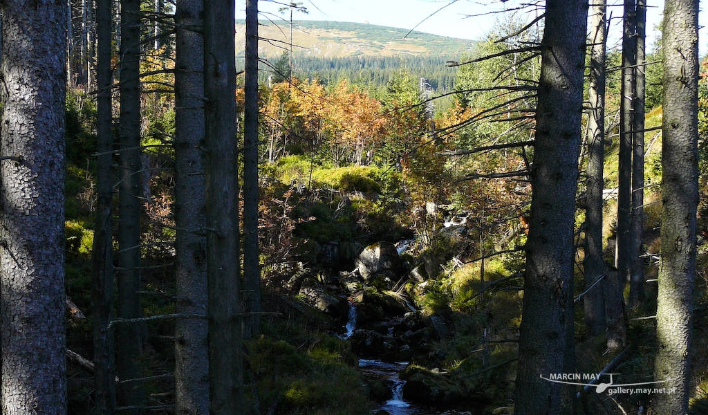 Karkonosze-zdj056-P1020633