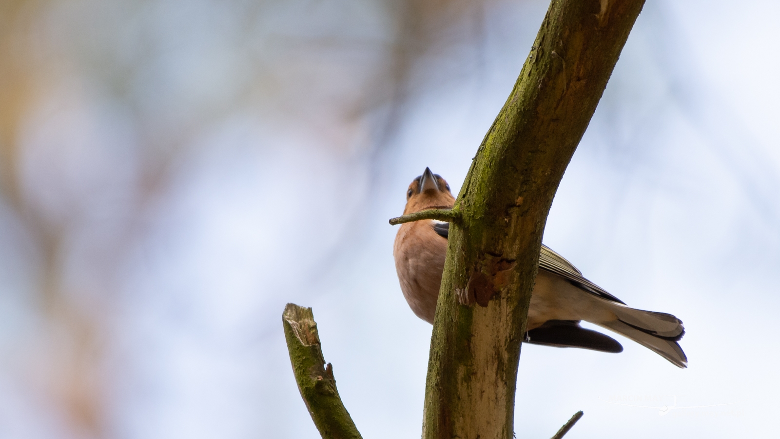 DSC_3670 DSC_3670